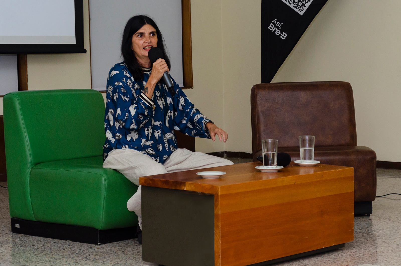 IR10 Imagen Regional 10 santa Marta